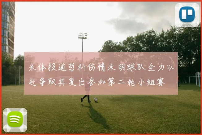 米体报道哲科伤情未明球队全力以赴争取其复出参加第二轮小组赛