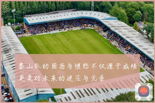 泰山队的困惑与愤怒不仅源于成绩更是对未来的迷茫与无奈