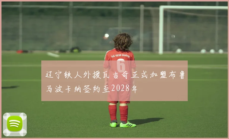 辽宁铁人外援瓦吉奇正式加盟布鲁马波卡纳签约至2028年